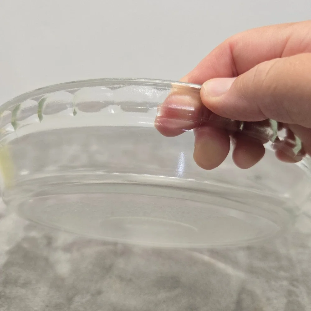 Glasbake J2610 10 Inch Clear Glass Round Pie Dish Scalloped Edge with Handles
